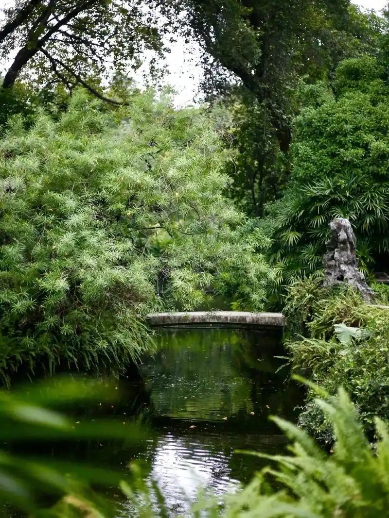 广州兰圃公园!超适合拍古风.#这个夏天 #享受这悠闲时光 - 抖音