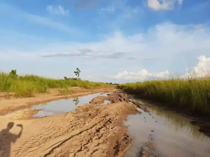 穿越野性非洲:冲出泥潭,绝地重生