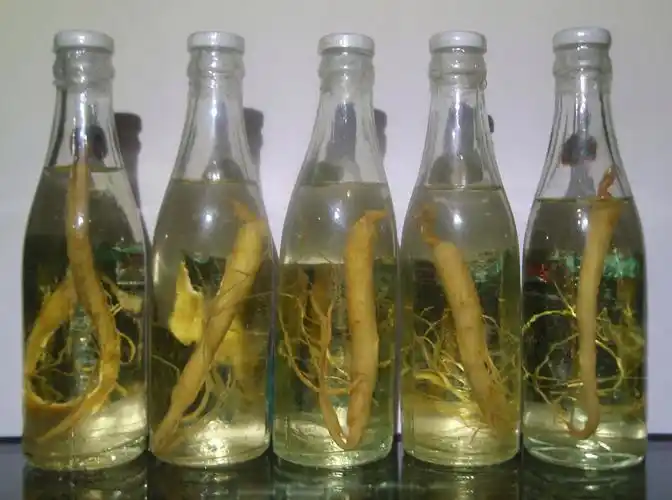 老酒*1979年人参酒