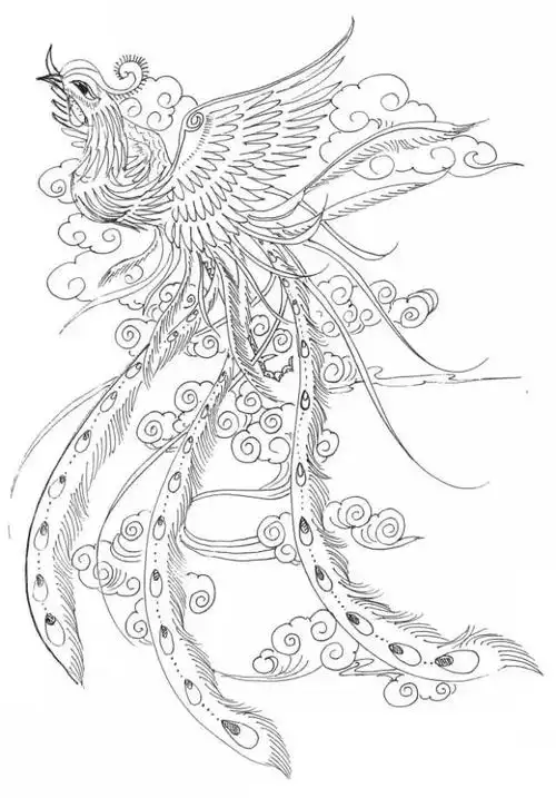 书画联盟丨龙凤白描图谱——凤