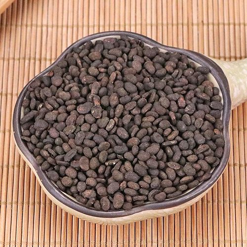 野生补骨脂500g克新货补骨脂粉破故纸 补骨脂 黑故子婆固脂中药材