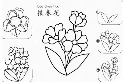 满天星简笔画图片,满天星简笔画怎么画_竞价网