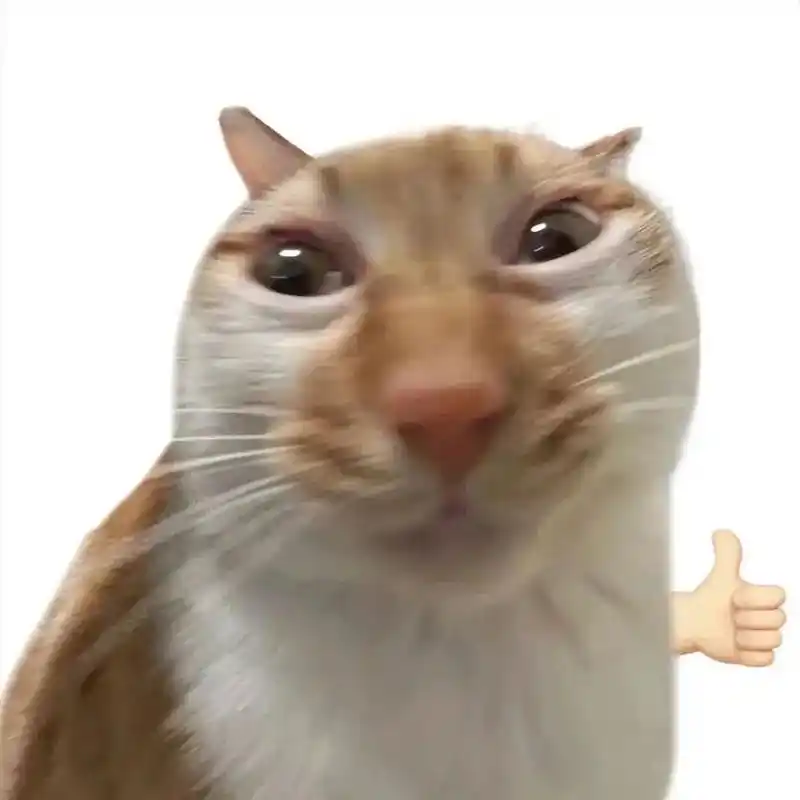 猫咪表情包 #表情包 #发疯日常 #表情包大户 - 抖音