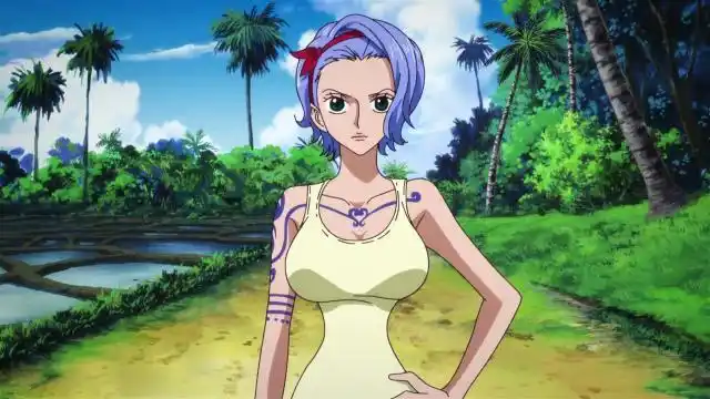 海贼王被遗忘的美女,温柔优雅的娜美姐姐诺琪高,她被作者忘了?