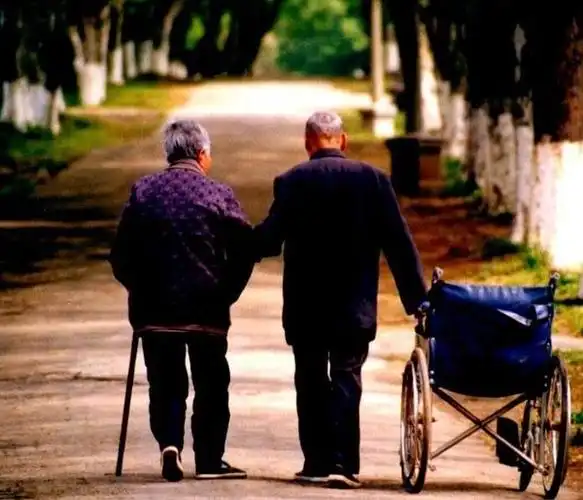 执子之手,与子偕老||活着