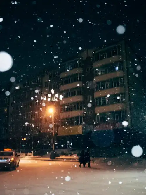 大雪纷飞的夜晚 - 王柳稣 - cnu视觉联盟