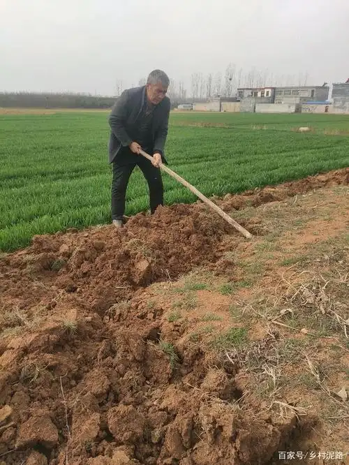 河南农民在农田里劳动