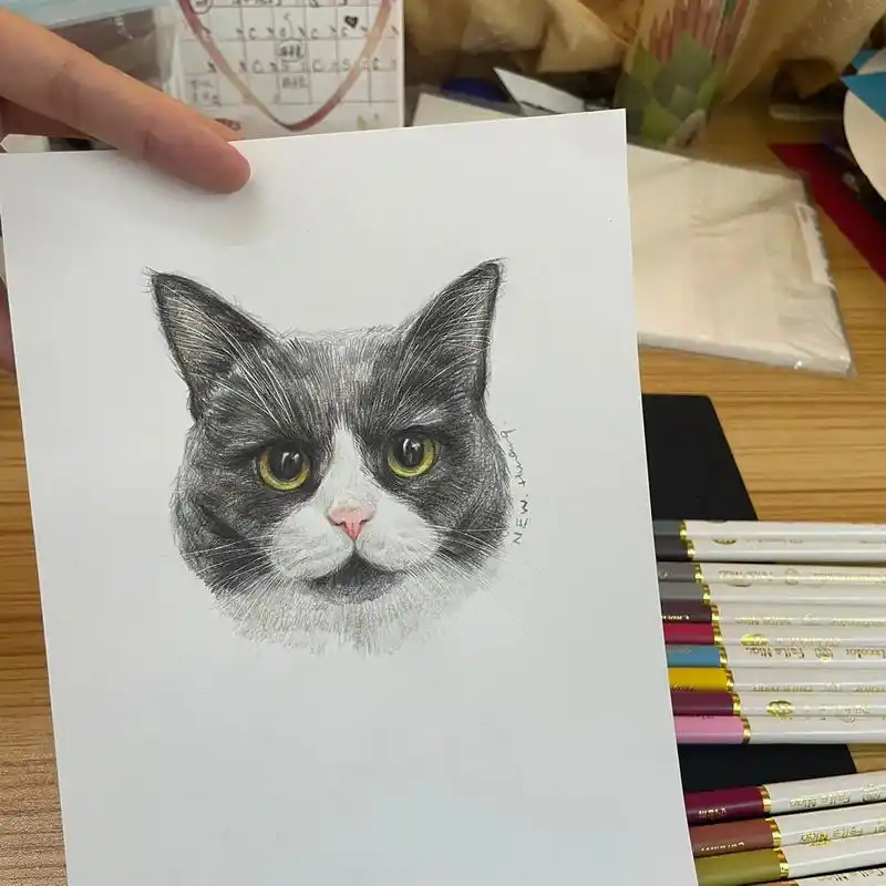 96彩铅猫咪头～ 彩铅:飞乐鸟 #彩铅手绘 #日常瞎画 #手 - 抖音