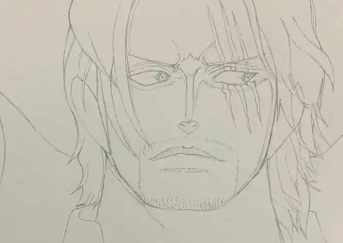 面子果实拥有者红发61香克斯