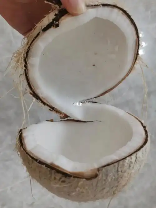 这么厚实的椰肉怎么能放过呢其实打开它很简单,喝完椰汁之后用一手