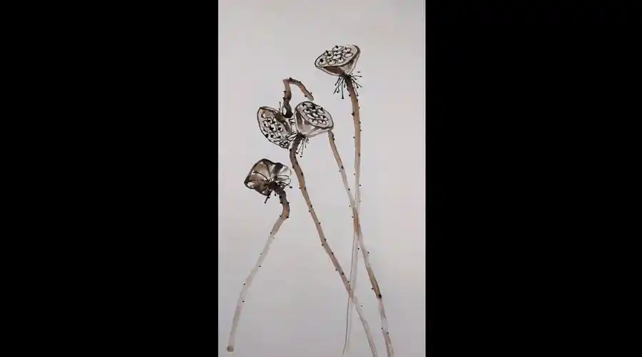 一分钟教你画莲蓬,有方法,国画很简单! 李丹教国画_手机新浪网