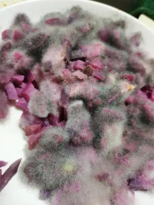 和此刻在一起发霉长毛的紫薯