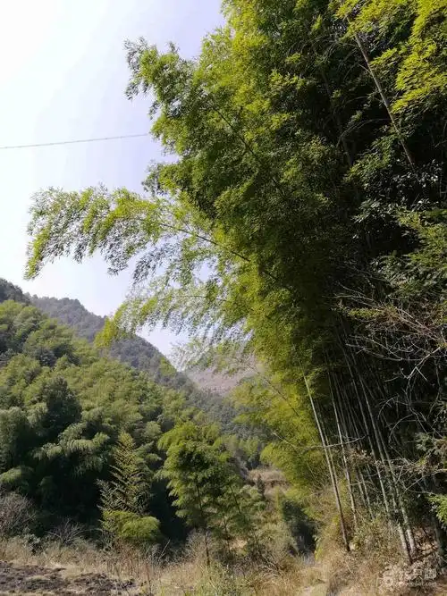 2018-03-10 乐清庄屋村大公山徒步56