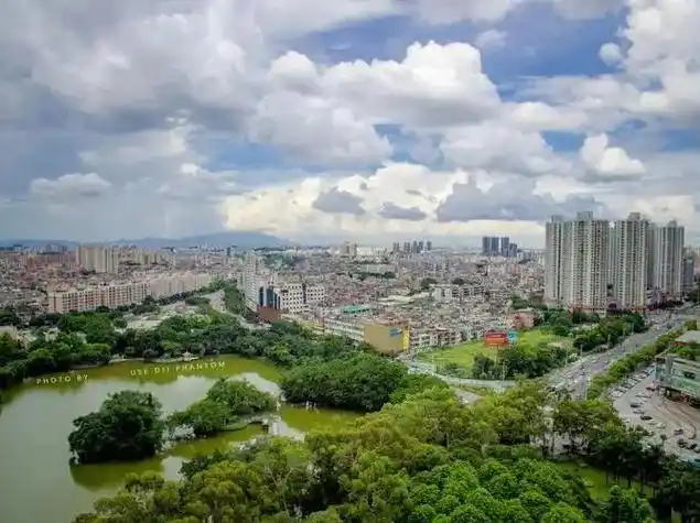 东莞市东城区深入学习贯彻党的