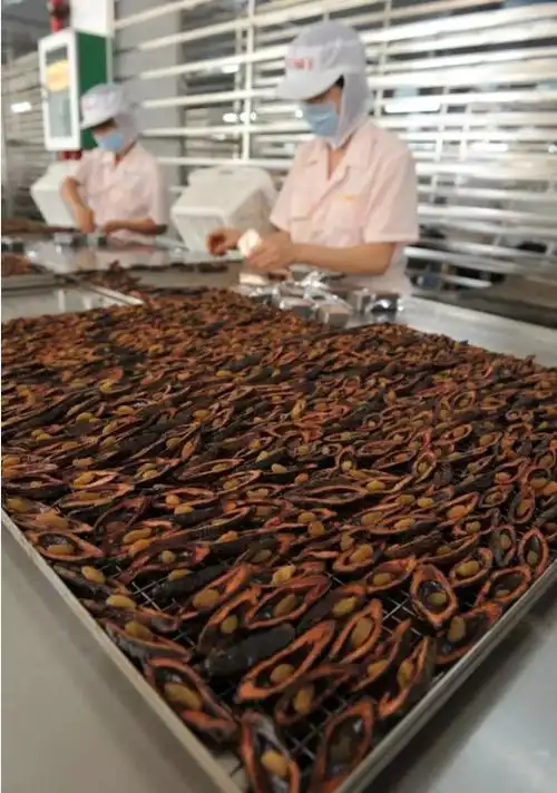 万宁槟榔城招商