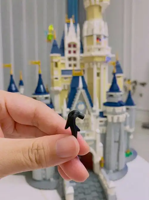 求助求助乐高迪士尼城堡剩下一个零件