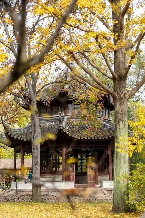 游走初冬的苏州拙政园,不经意间就会与绮丽的光影,撞个满怀