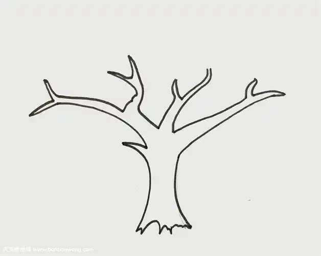 分叉树简笔画