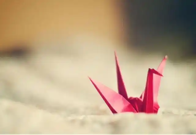 趣味测试梦幻中的千纸鹤哪个最唯美测你会遇见想要的爱情吗