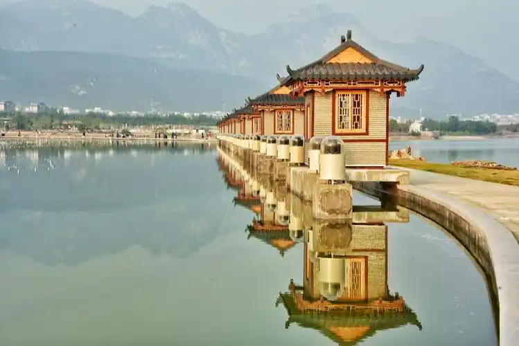 镜头里的泰安西湖湿地公园～美醉了!