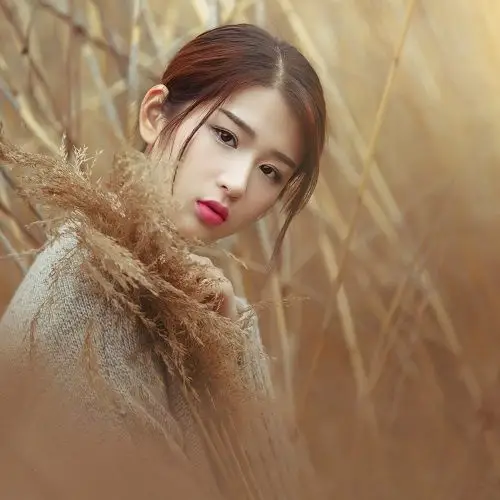 500x500分辨率养眼美女高清图片不成怨梦睡空甜