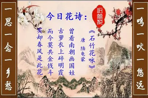 21日晨早花问候