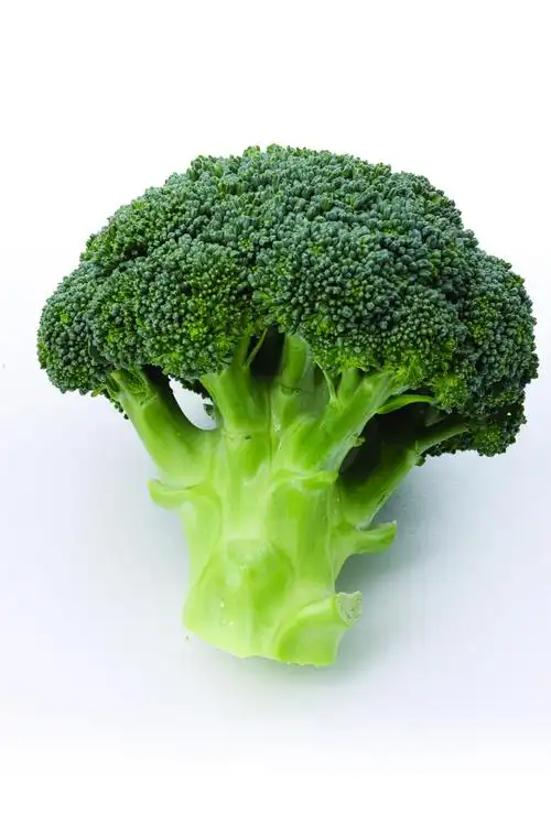 花椰菜图片蔬菜花菜花椰菜西兰花菜花绿花菜