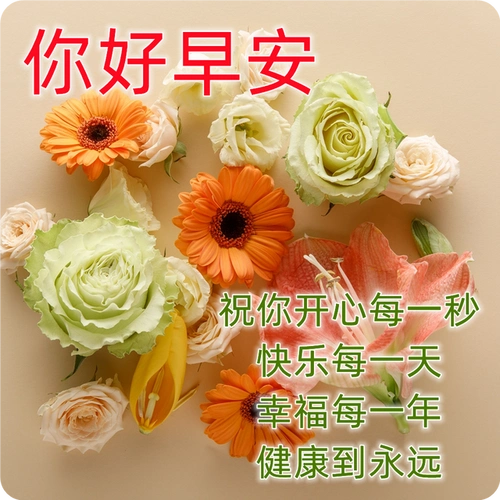 祝福亲人朋友的唯美早安片 暖心的早上好问候祝福语