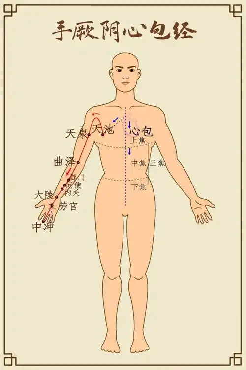 亥时(对应时间:21～23点)此时为手少阳三焦经当令.