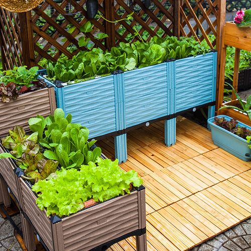 阳台种植箱庭院菜园长方形塑料蔬菜种菜槽户外楼顶特大款家用花盆