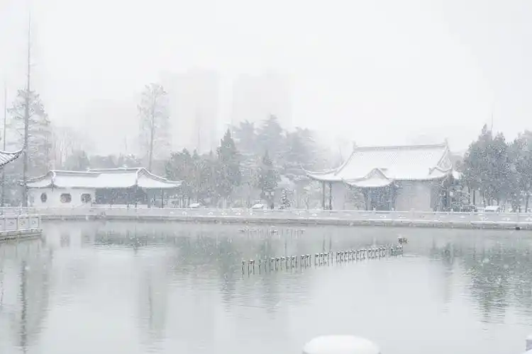 淮安清晏园冬季古风雪景|摄影|风光摄影|z207815195 - 原创作品