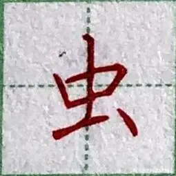 一年级生字"虫"书写讲解及示范(连载)