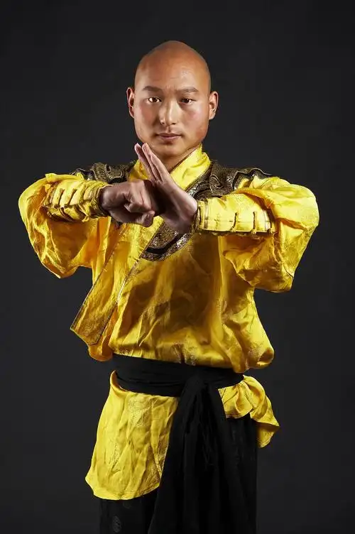 武术与僧侣特写图片特写运动武术僧侣