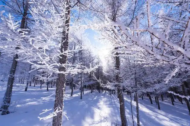 四季分明,也就是说春天温和,夏天炎热,秋天凉爽,冬天