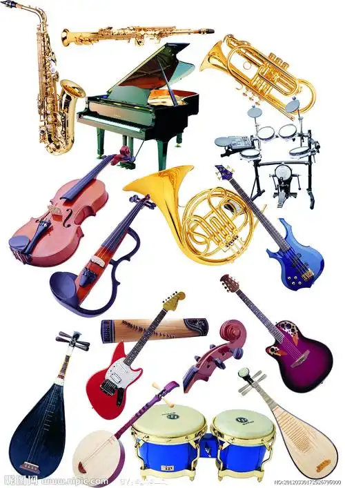 中西乐器合集图片