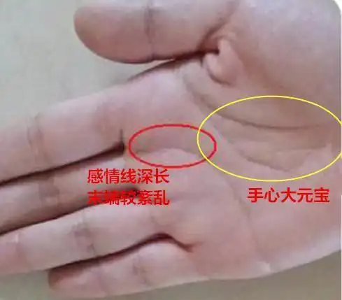 手心元宝纹,注定外财不断,一生不缺钱花