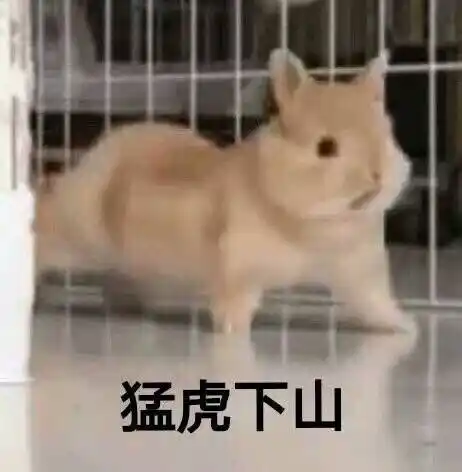 猛虎下山_猛虎下山表情