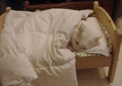 晚上睡觉 被子盖好