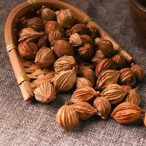 香砂川砂仁金沙仁沙仁炖肉卤肉香料调料大全 香砂仁250g【图片 价格