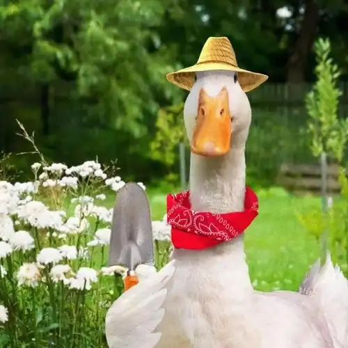 可爱搞怪的小鸭子头像