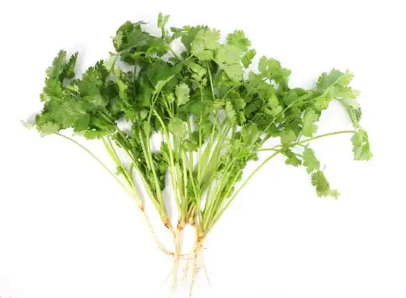 吃盐须菜有什么功效