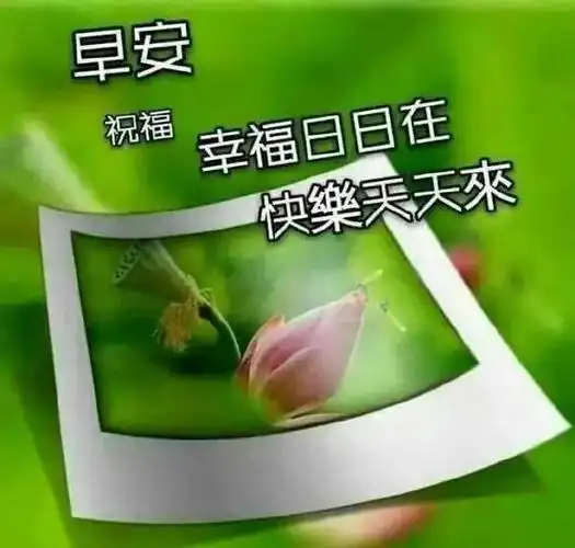 2021早上好问候祝福语图片最新早安问候语动态图片表情