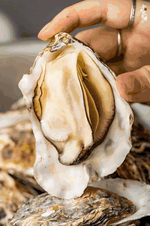 48折开启疯狂嗦虾模式蜀山区新晋蚌埠龙虾馆来了