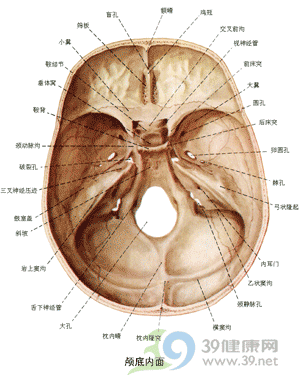 颞骨骨折的概述