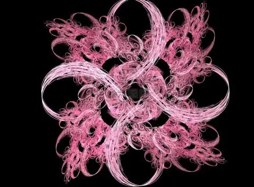 分形,纠结,明星