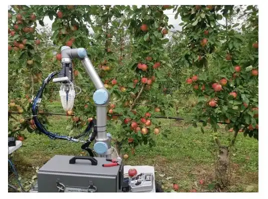 科学家开发苹果采摘机器人每7秒采摘一个水果
