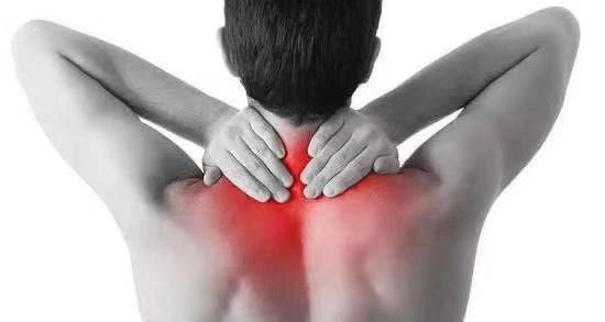 颈型颈椎病的主要症状表现为颈项部疼痛,肩背部肌肉僵硬,颈部活动障碍