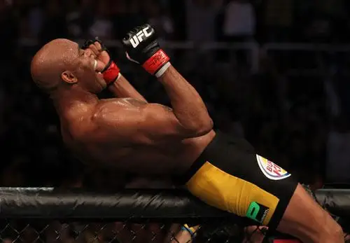 图文ufc134期席尔瓦再演ko一幕蜘蛛人欢庆胜利