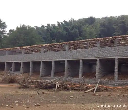 羊舍设计,知道这些参数,有利于建造出适宜的圈舍,成本不高