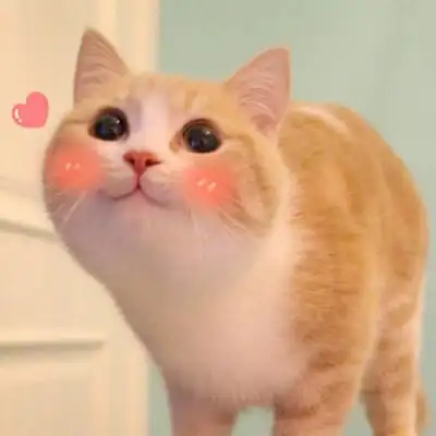 bobi可爱小猫卖萌表情包 微笑的奶猫表情包